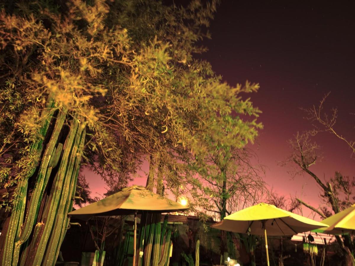 Hostal Katarpe San Pedro de Atacama Exteriér fotografie