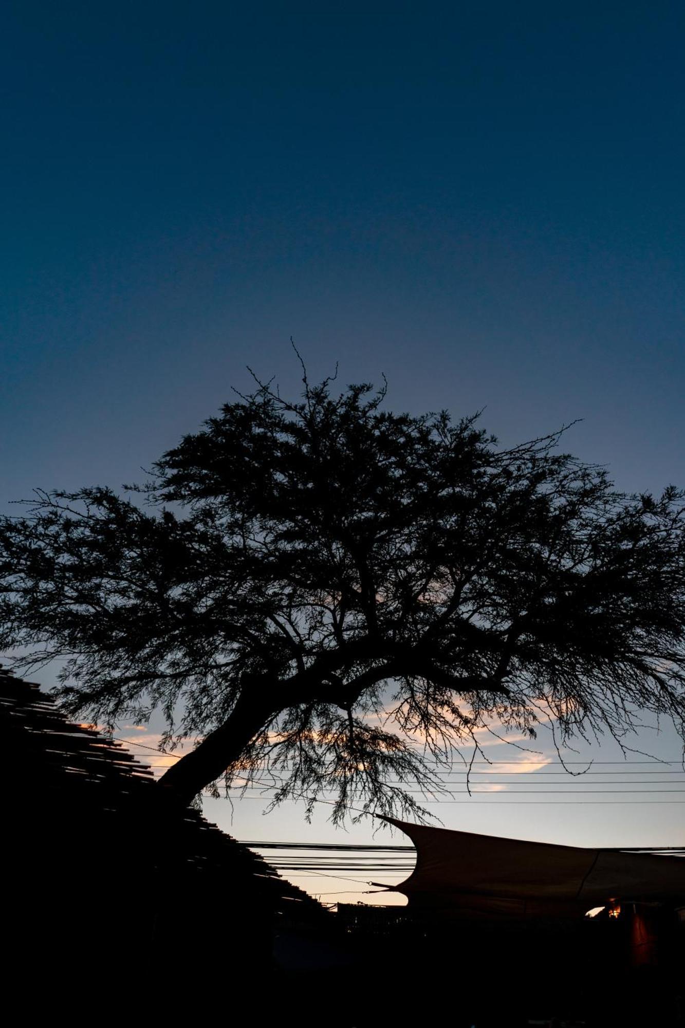 Hostal Katarpe San Pedro de Atacama Exteriér fotografie